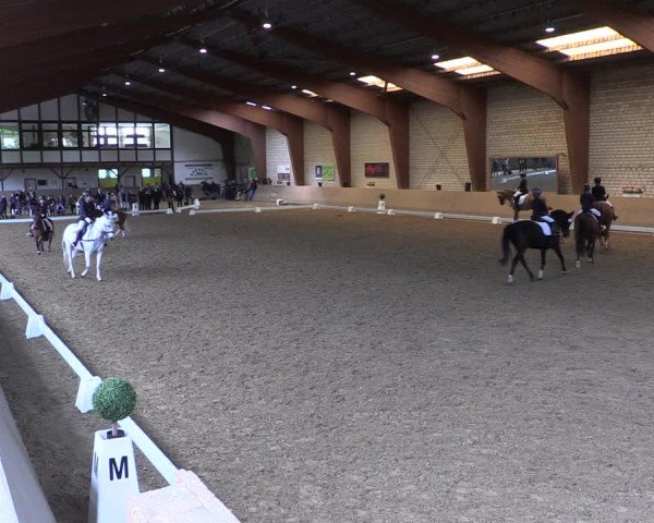 Reitturnier Kamen 2019