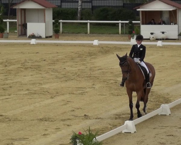 Reitturnier Wiesbaden-Erbenheim 2019