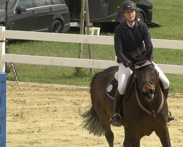 Reitturnier Leutkirch-Diepoldshofen 2019