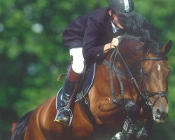 broodmare van Schijndel's Chanelly (Holsteiner, 2001, from Contender)
