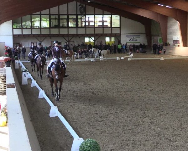Reitturnier Kamen 2019