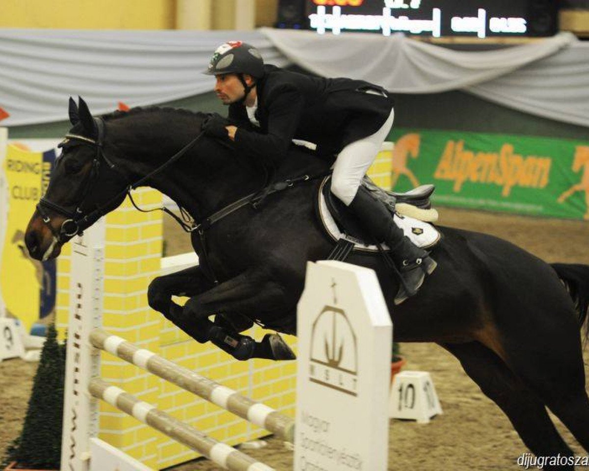 Springhest Jlo (Ungarsk Sportshest, 2007, fra Justboy)