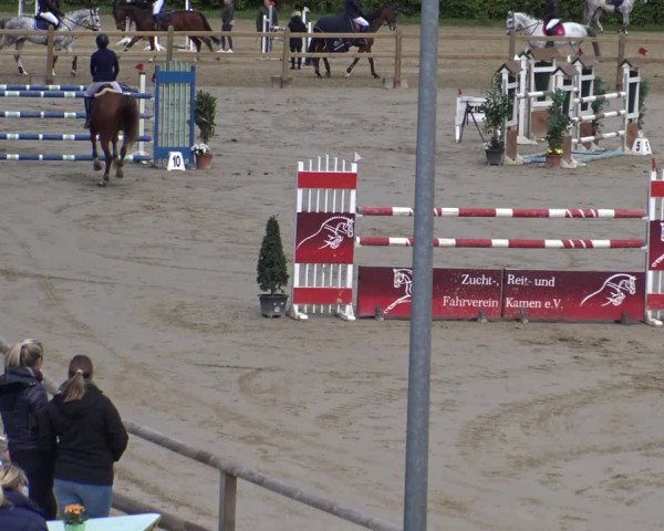 Reitturnier Kamen 2019
