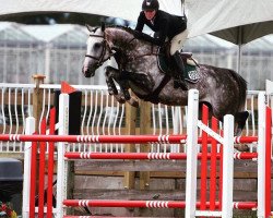 Zuchtstute Jezebel van Dorperheide (Belgisches Warmblut, 2009, von Winningmood van de Arenberg)