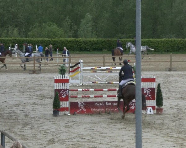 Reitturnier Kamen 2019