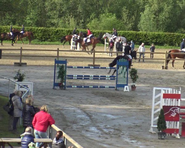 Reitturnier Kamen 2019