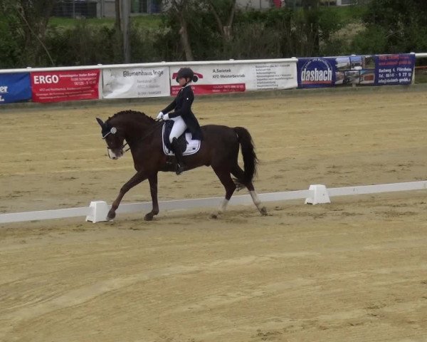 Reitturnier Wiesbaden-Erbenheim 2019