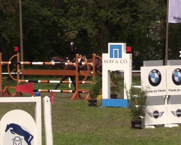 Reitturnier Meldorf 2019