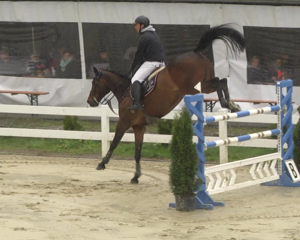 Reitturnier Leutkirch-Diepoldshofen 2019