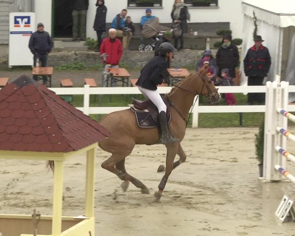 Reitturnier Leutkirch-Diepoldshofen 2019