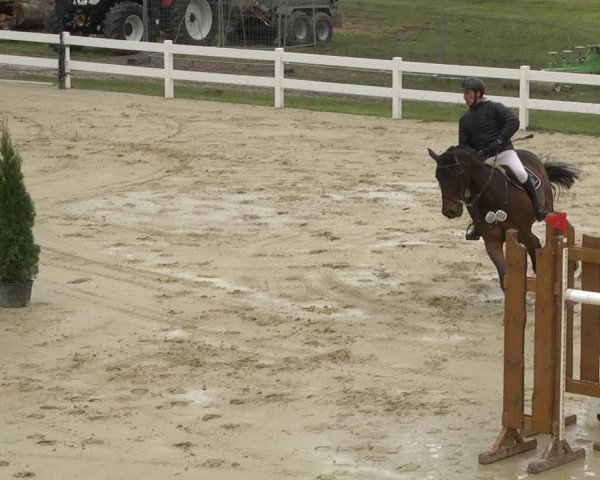 Reitturnier Leutkirch-Diepoldshofen 2019