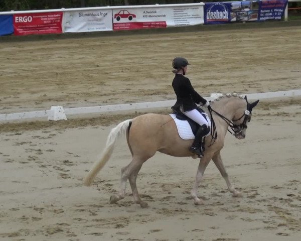 Reitturnier Wiesbaden-Erbenheim 2019