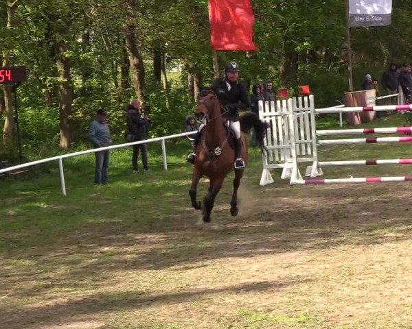 Reitturnier Meldorf 2019