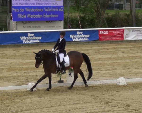 Reitturnier Wiesbaden-Erbenheim 2019