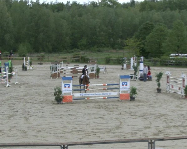 Reitturnier Kamen 2019