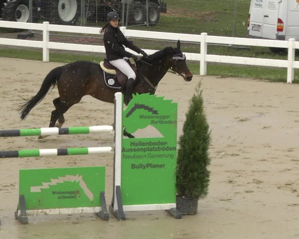 Reitturnier Leutkirch-Diepoldshofen 2019
