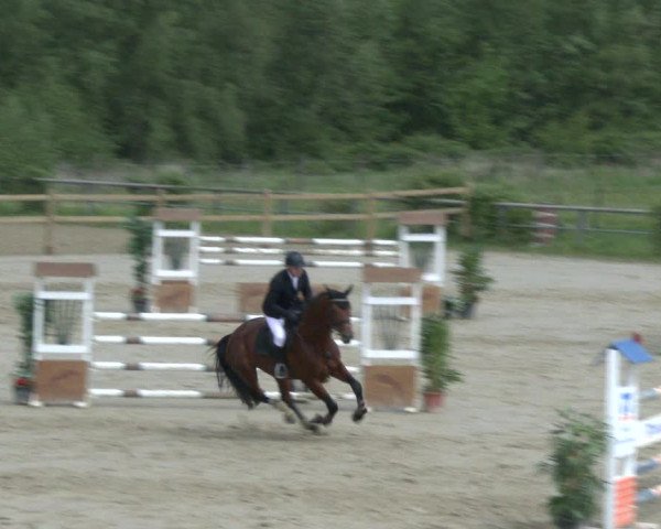 Reitturnier Kamen 2019