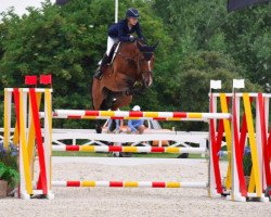 jumper Copain de Muze (Belgium Sporthorse, 2008, from Bamako de Muze)