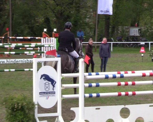 Reitturnier Meldorf 2019
