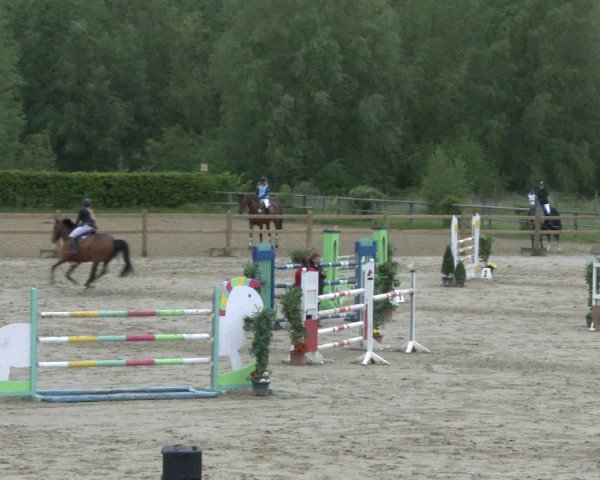 Reitturnier Kamen 2019