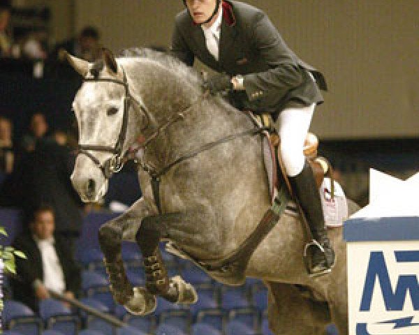 stallion Lake Bid (Holsteiner, 1999, from Lansing)