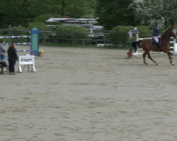 Reitturnier Kamen 2019
