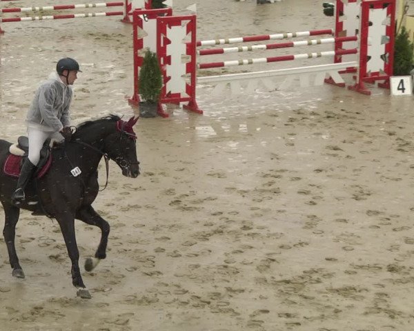 Reitturnier Leutkirch-Diepoldshofen 2019