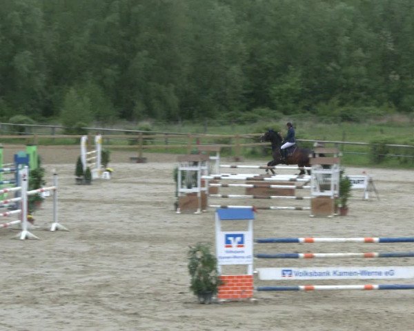 Reitturnier Kamen 2019