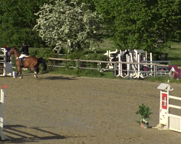 Reitturnier Kamen 2019