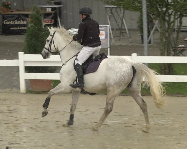 Reitturnier Leutkirch-Diepoldshofen 2019