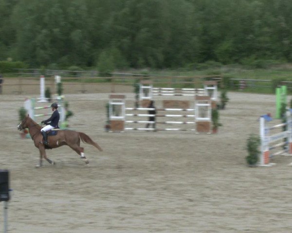 Reitturnier Kamen 2019