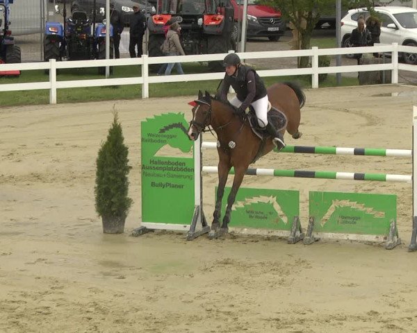 Reitturnier Leutkirch-Diepoldshofen 2019