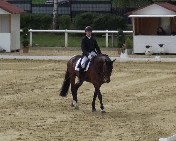 Reitturnier Wiesbaden-Erbenheim 2019