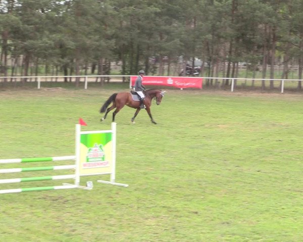 Reitturnier Altbarnim 2019