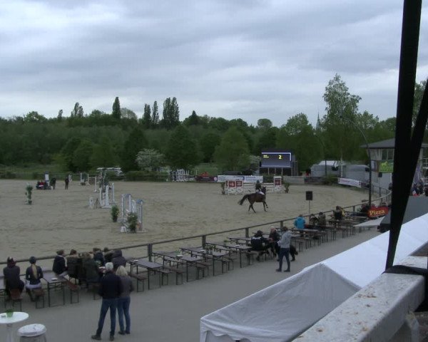 Reitturnier Kamen 2019