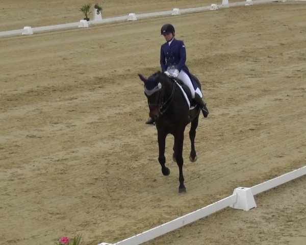 Reitturnier Wiesbaden-Erbenheim 2019