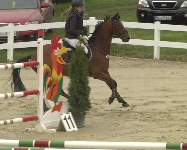 Reitturnier Leutkirch-Diepoldshofen 2019