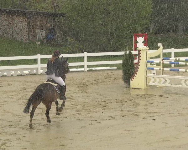Reitturnier Leutkirch-Diepoldshofen 2019