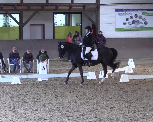 Reitturnier Kamen 2019