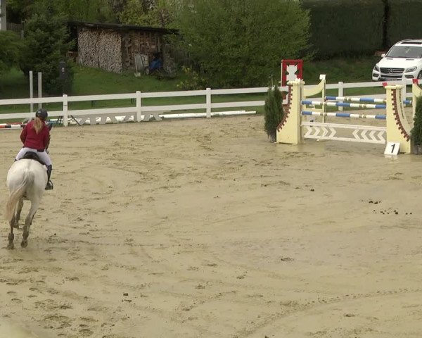 Reitturnier Leutkirch-Diepoldshofen 2019