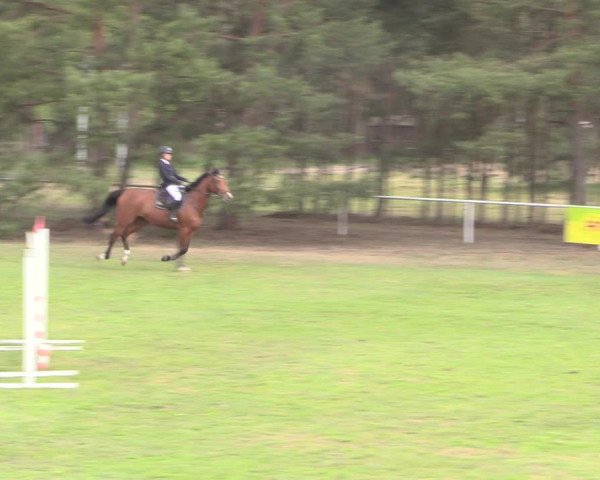 Reitturnier Altbarnim 2019
