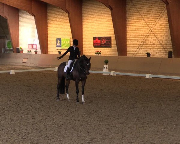 Reitturnier Kamen 2019