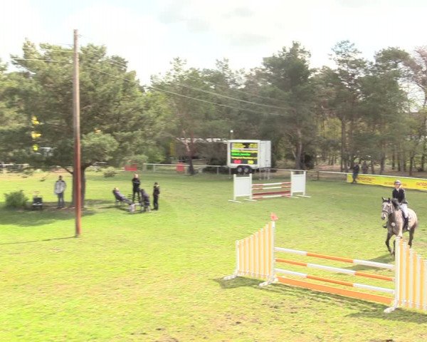 Reitturnier Altbarnim 2019
