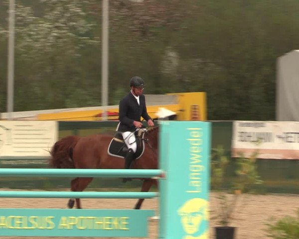 Reitturnier Langwedel - Hagen - Grinden 2019