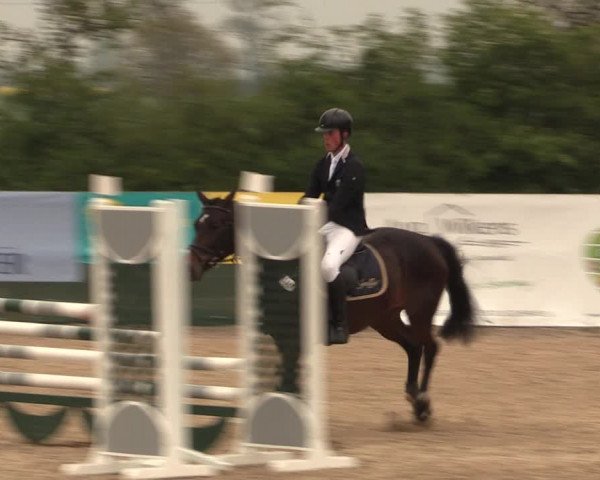 Reitturnier Langwedel - Hagen - Grinden 2019