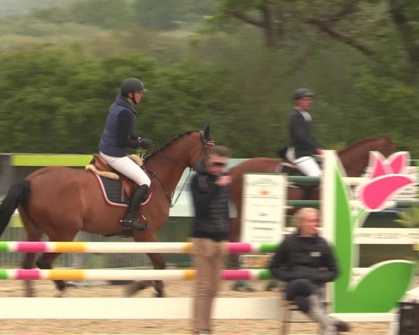 Reitturnier Langwedel - Hagen - Grinden 2019