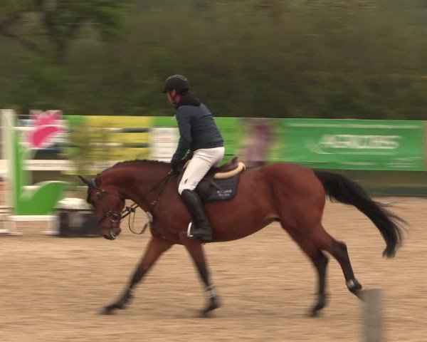 Reitturnier Langwedel - Hagen - Grinden 2019