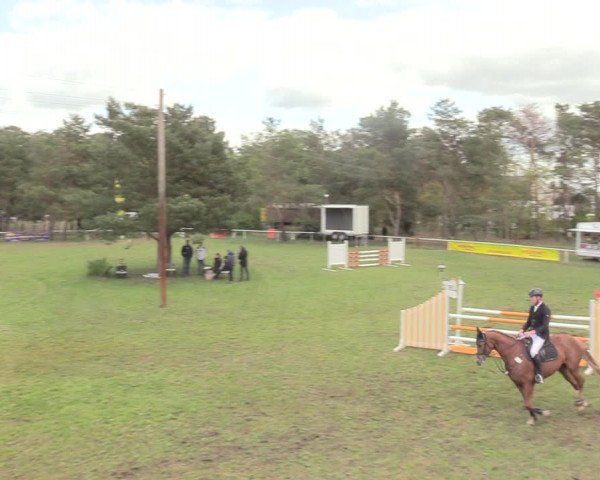 Reitturnier Altbarnim 2019