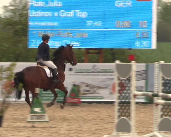 Reitturnier Langwedel - Hagen - Grinden 2019