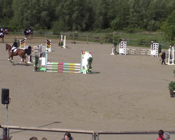 Reitturnier Kamen 2019